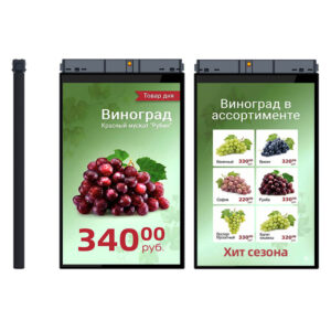hl 101 duo 300x300 - TFT-дисплей MERTECH HL101 Dual 10,1″