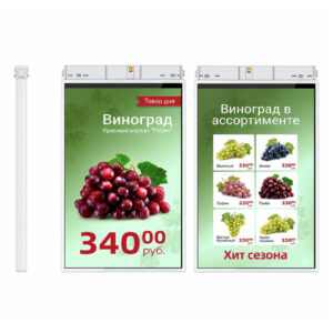 TFT-дисплей MERTECH HL101 Dual 10,1″ White 21137 300x300 - TFT-дисплей MERTECH HL101 Dual 10,1″ White